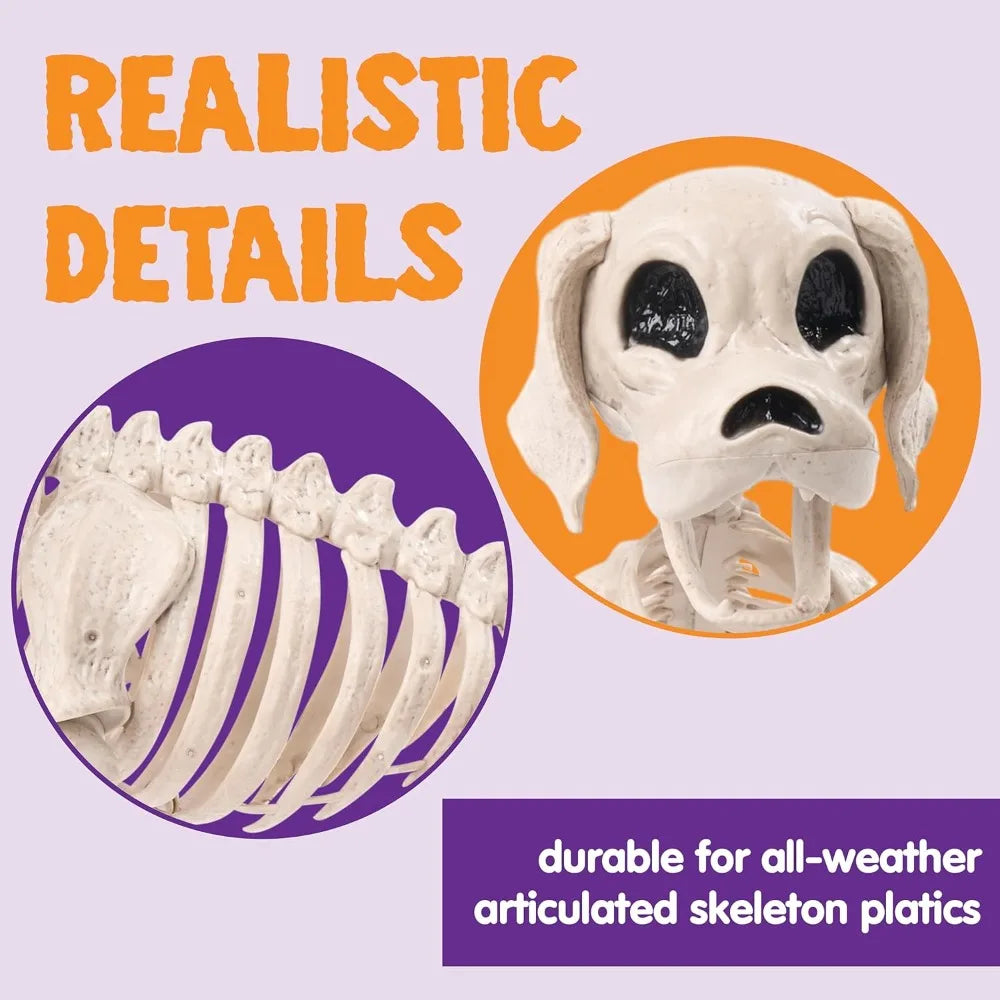 Posable Halloween Dog Skeleton With Realistic Movable Joints For Lawn Party