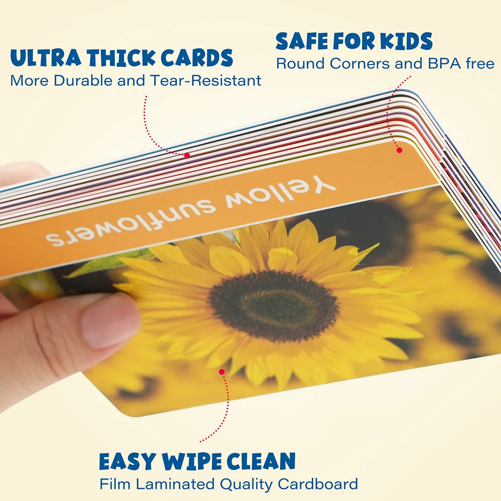 Double-Sided Alphabet and Number Flash Cards for Toddlers