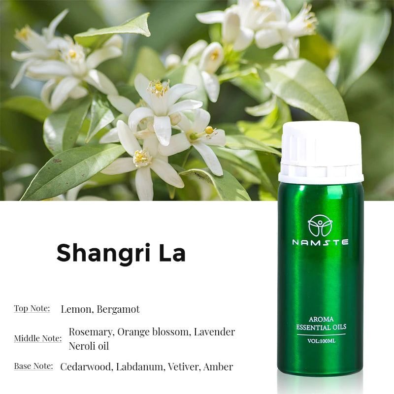 NAMSTE Electric Aromatic Diffuser With Pure Plant Essential Oils