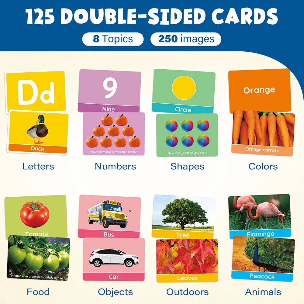 Double-Sided Alphabet and Number Flash Cards for Toddlers