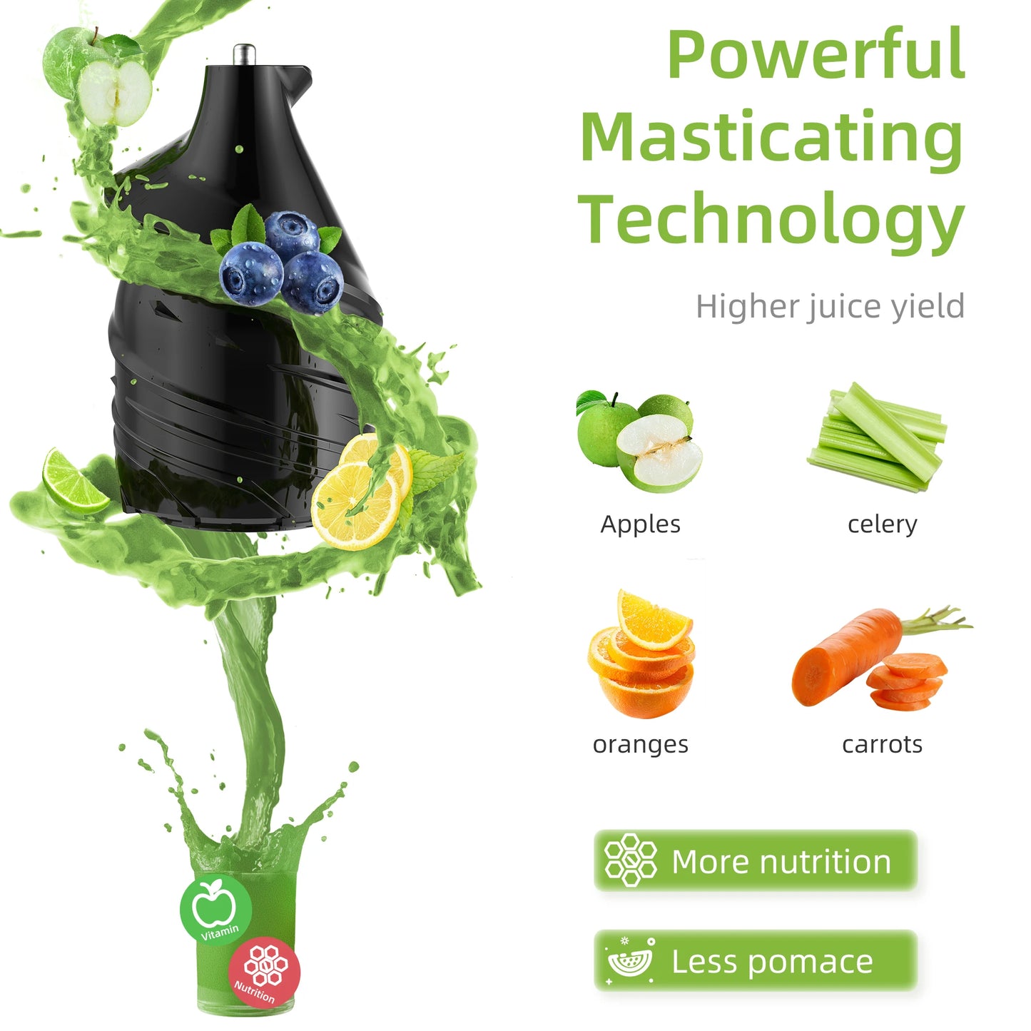 Biolomix Cold Press Juicer 75mm Feed Chute 200W Slow Masticating